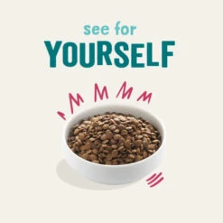 Edgard & Cooper Venison & Duck Grain Free Adult Dog Food 16 Edgard & Cooper Venison & Duck Grain Free Adult Dog Food -Pet Supply Store 02A EdgardCooper ECommContent RealProductImageExc.12kg AdultVenisonDry ua8jbn