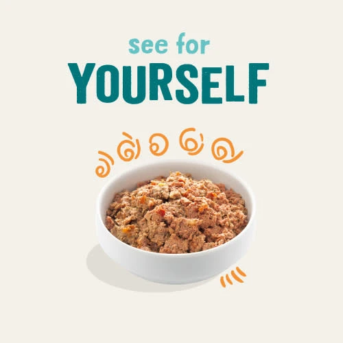 Edgard & Cooper Chicken & Turkey Grain Free Trays Wet Adult Dog Food 10 Edgard & Cooper Chicken & Turkey Grain Free Trays Wet Adult Dog Food - Image 8