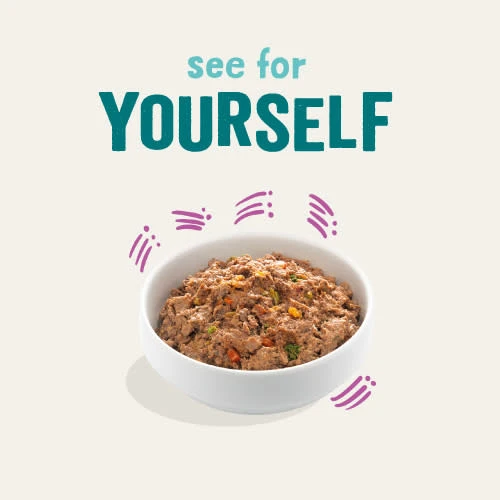 Edgard & Cooper Game & Duck Grain Free Trays Wet Adult Dog Food 10 Edgard & Cooper Game & Duck Grain Free Trays Wet Adult Dog Food - Image 8