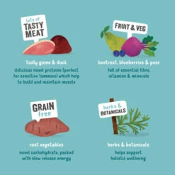 Edgard & Cooper Game & Duck Grain Free Tins Wet Adult Dog Food -Pet Supply Store 03 EdgardCooper ECommContent KeyIngredients AdulGameDuckWet 400g jyrbbu