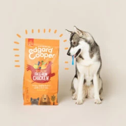 Edgard & Cooper Fresh Chicken Grain Free Adult Dog Food -Pet Supply Store 04 EdgardCooper ECommContent Lifestyle AdultChickenDry 7kg12kg tsihnz