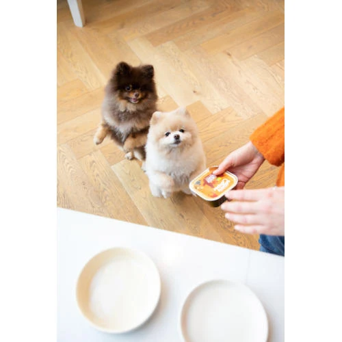 Edgard & Cooper Chicken & Turkey Grain Free Trays Wet Adult Dog Food 9 Edgard & Cooper Chicken & Turkey Grain Free Trays Wet Adult Dog Food - Image 7