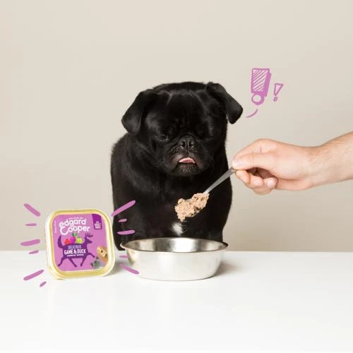 Edgard & Cooper Game & Duck Grain Free Trays Wet Adult Dog Food 8 Edgard & Cooper Game & Duck Grain Free Trays Wet Adult Dog Food - Image 6