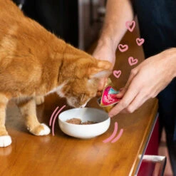 Edgard & Cooper Chicken & Trout Wet Kitten Food -Pet Supply Store 04 EdgardCooper ECommContent Lifestyle Cat KittenChickenTroutWet 85g dyo2ns