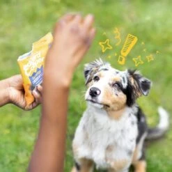 Edgard & Cooper Champion Chicken Bites Dog Treats -Pet Supply Store 04 EdgardCooper ECommContent Lifestyle Chicken Bites lprtzw