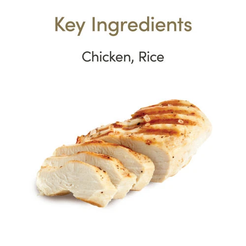 Applaws Natural Chicken Breast In Broth Wet Kitten Food 7 Applaws Natural Chicken Breast In Broth Wet Kitten Food - Image 5