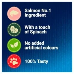 Felix Delicious Treats Salmon Cat Treats -Pet Supply Store 10127687 T60 jxtpma