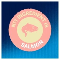 Felix Delicious Treats Salmon Cat Treats -Pet Supply Store 10127687 T66 lrbcc2