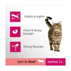 Perfect Fit Beef Dry Adult 1+ Cat Food -Pet Supply Store 10139871 T60 ukrzg8