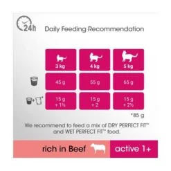 Perfect Fit Beef Dry Adult 1+ Cat Food -Pet Supply Store 10139871 T61 ciudez