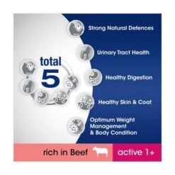 Perfect Fit Beef Dry Adult 1+ Cat Food -Pet Supply Store 10139871 T65 fel0c8