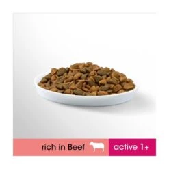 Perfect Fit Beef Dry Adult 1+ Cat Food -Pet Supply Store 10139871 T66 txoys1