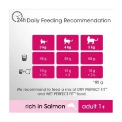 Perfect Fit Salmon Dry Adult 1+ Cat Food -Pet Supply Store 10158276 T61 li8bby