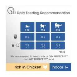 Perfect Fit Chicken Indoor Dry Adult Cat Food -Pet Supply Store 10158281 T61 a8nav8
