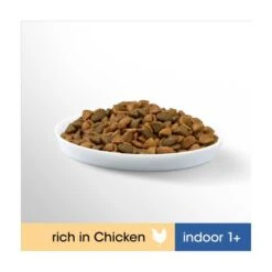 Perfect Fit Chicken Indoor Dry Adult Cat Food -Pet Supply Store 10158281 T66 v3kka5