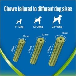 Dentalife ActivFresh Large Dog Dental Chews -Pet Supply Store 10412981 T65 dpqphk