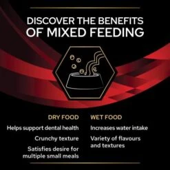 PRO PLAN VETERINARY DIETS Feline DM ST OX Diabetes Management Food -Pet Supply Store 10944883 T67 cnvgqe