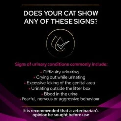 PRO PLAN VETERINARY DIETS Feline UR Urinary Formula Cat Food Tins -Pet Supply Store 10944893 T61 cdtc71