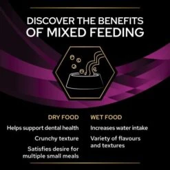 PRO PLAN VETERINARY DIETS Feline UR Urinary Formula Cat Food Tins -Pet Supply Store 10944893 T67 hegreo