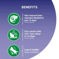 Purina ONE Turkey Indoor Dry Adult Cat Food -Pet Supply Store 10995074 T62 srkpri