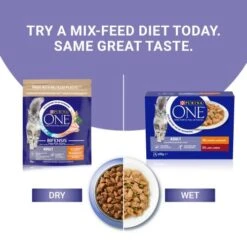Purina ONE Chicken & Beef Mini Fillets In Gravy Adult Cat Food -Pet Supply Store 10996637 T65 syjhi5