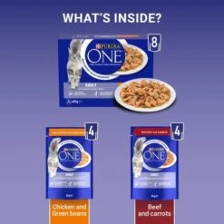 Purina ONE Chicken & Beef Mini Fillets In Gravy Adult Cat Food -Pet Supply Store 10996637 T66 ntzpju