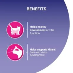 Purina ONE Chicken & Whole Grains Dry Kitten Food -Pet Supply Store 11027467 T62 f3ilhg