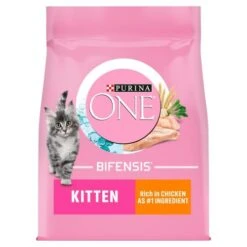 Purina ONE Chicken & Whole Grains Dry Kitten Food