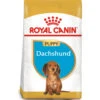 Royal Canin Dachshund Puppy Dry Dog Food -Pet Supply Store 1123015 qu9o7k