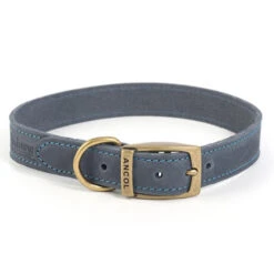 Ancol Timberwolf Blue Leather Dog Collar