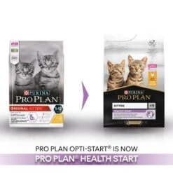 PURINA PRO PLAN PRO PLAN Original Chicken Dry Kitten Food 16 PURINA PRO PLAN PRO PLAN Original Chicken Dry Kitten Food -Pet Supply Store 11369336 T60 qhkaos