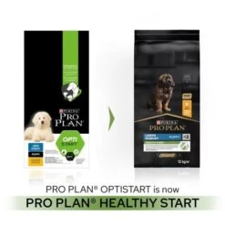 PURINA PRO PLAN PRO PLAN Healthy Start Robust Large Rich In Chicken Dry Puppy Food -Pet Supply Store 11563464 T60 rp7r6z