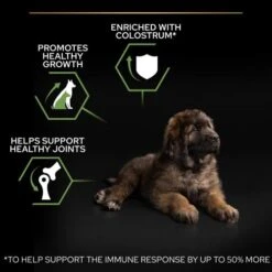 PURINA PRO PLAN PRO PLAN Healthy Start Robust Large Rich In Chicken Dry Puppy Food -Pet Supply Store 11563464 T61 shsjk9