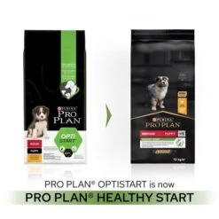 PURINA PRO PLAN PRO PLAN Healthy Start Medium Rich In Chicken Dry Puppy Food -Pet Supply Store 11563481 T60 ruauyq