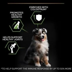 PURINA PRO PLAN PRO PLAN Healthy Start Medium Rich In Chicken Dry Puppy Food -Pet Supply Store 11563481 T61 qvmega