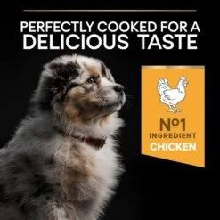 PURINA PRO PLAN PRO PLAN Healthy Start Medium Rich In Chicken Dry Puppy Food -Pet Supply Store 11563481 T62 syctjf