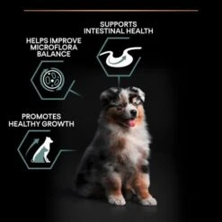 PURINA PRO PLAN PRO PLAN Sensitive Digestion Rich In Lamb Medium Dry Puppy Food -Pet Supply Store 11563501 T61 m1sg7j