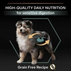 PURINA PRO PLAN PRO PLAN Sensitive Digestion Grain Free Rich In Turkey Dry Medium Puppy Food -Pet Supply Store 11563508 T64 z5eh1k