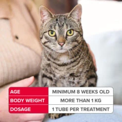 Beaphar FIPROtec Combo Cat Flea & Tick Treatment -Pet Supply Store 13946 FIPROtec COMBO Cat Priority 5 prc0xn