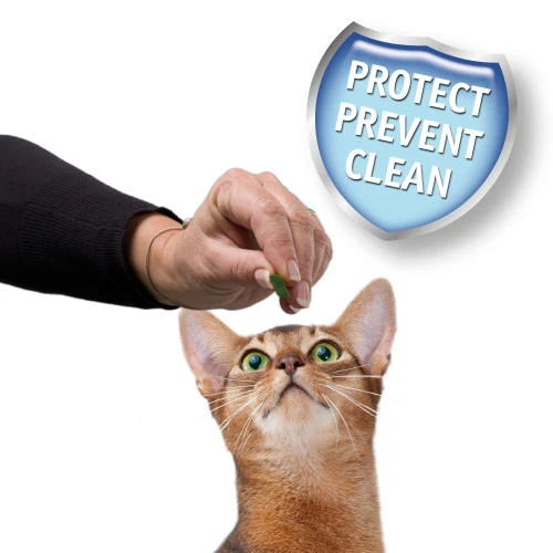 Beaphar Dental Easy Treat For Cats 4 Beaphar Dental Easy Treat For Cats - Image 2