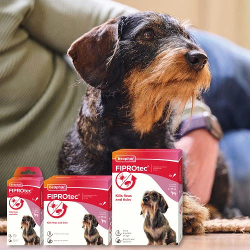 Beaphar FIPROtec Flea & Tick Spot On Treatment For Dogs 8 Beaphar FIPROtec Flea & Tick Spot On Treatment For Dogs - Image 6