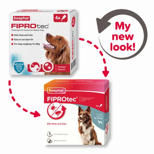 Beaphar FIPROtec Flea & Tick Spot On Treatment For Dogs 10 Beaphar FIPROtec Flea & Tick Spot On Treatment For Dogs - Image 8