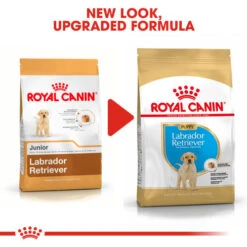 Royal Canin Labrador Retriever Puppy Dry Dog Food -Pet Supply Store 1723030 6 hrfwxz