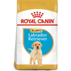Royal Canin Labrador Retriever Puppy Dry Dog Food