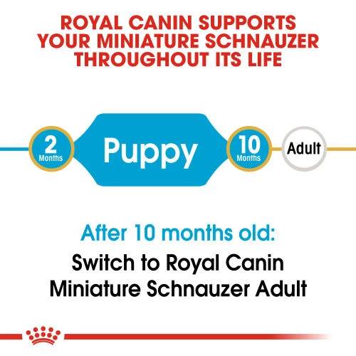 Royal Canin Miniature Schnauzer Dry Puppy Dog Food 10 Royal Canin Miniature Schnauzer Dry Puppy Dog Food - Image 8