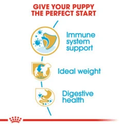Royal Canin Miniature Schnauzer Dry Puppy Dog Food 13 Royal Canin Miniature Schnauzer Dry Puppy Dog Food -Pet Supply Store 1748015 3 hrvcgk