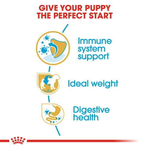 Royal Canin Miniature Schnauzer Dry Puppy Dog Food 5 Royal Canin Miniature Schnauzer Dry Puppy Dog Food - Image 3