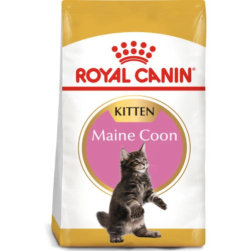 Royal Canin Maine Coon Dry Kitten Cat Food 3 Royal Canin Maine Coon Dry Kitten Cat Food