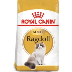 Royal Canin Ragdoll Dry Adult Cat Food