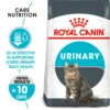Royal Canin Urinary Care Dry Adult Cat Food -Pet Supply Store 2709100 vdhtd0